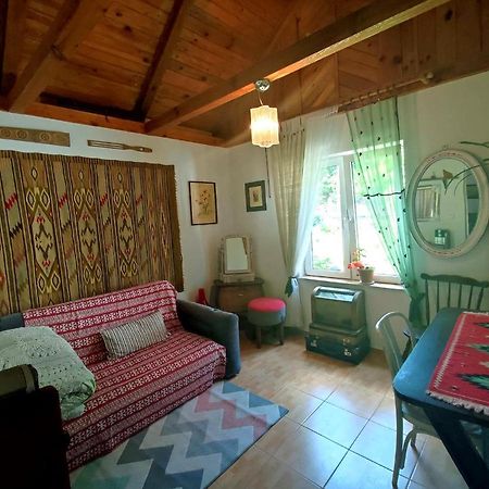 Domek Nad Poranna Rosa Garbatka-Letnisko Dış mekan fotoğraf